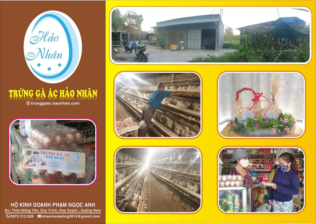 Trang trại trứng gà ác Hảo Nhân tại huyện Duy Xuyên